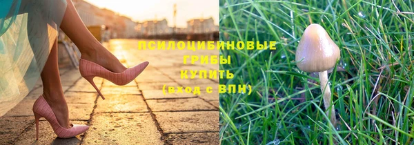 ALPHA PVP Остров