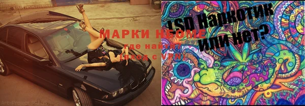 эйфоретик Осинники