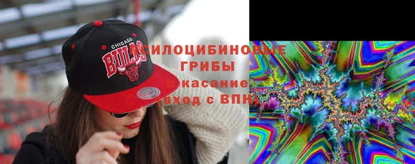 ALPHA PVP Остров