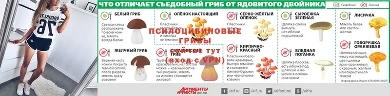 мега ONION  Армавир  Псилоцибиновые грибы Psilocybine cubensis  наркота 