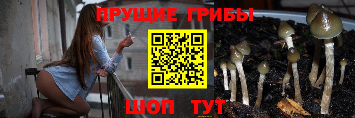 Псилоцибиновые грибы прущие грибы  Армавир 