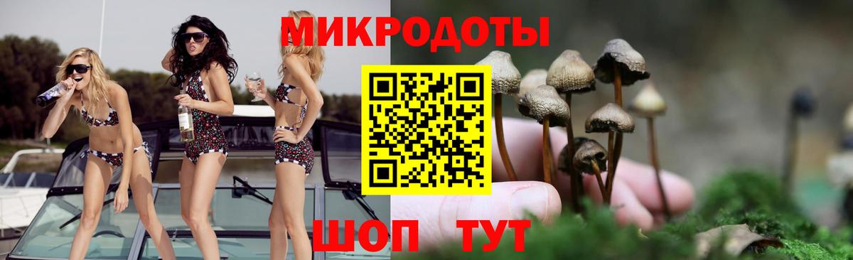 Армавир  Галлюциногенные грибы прущие грибы  Вход с VPN 